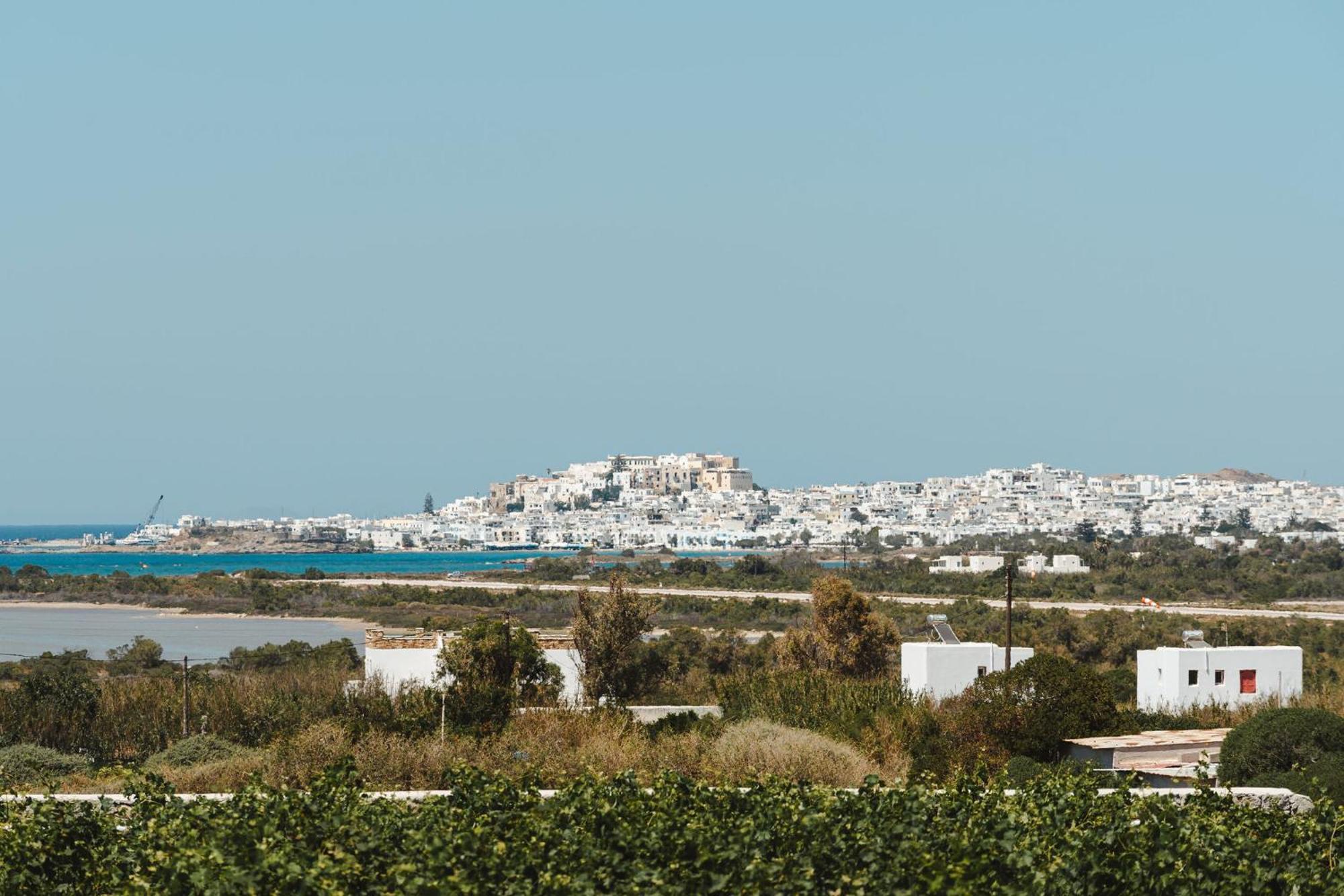 Sunday Luxury Suites Agia Anna  Exterior photo